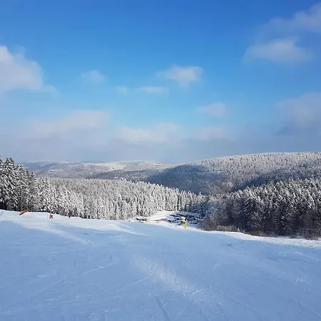Holiday home Comfortable With Terrace Masserberg